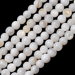 Natural Freshwater Shell Beads Strands, Smooth Round, White, 2.5mm, Hole: 0.7mm, about 69pcs/strand, 7.09''(18cm)(SH-CBA2978-07D-02)