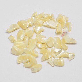 No Hole Natural Trochid Shell/Trochus Shell Chip Beads, Shell Shards, Light Goldenrod Yellow, 5~12x3~5mm