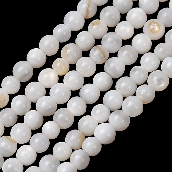Natural Freshwater Shell Beads Strands, Smooth Round, White, 2.5mm, Hole: 0.7mm, about 69pcs/strand, 7.09''(18cm)