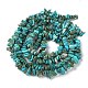 Natural Turquoise Chip Beads Strands(G-D093-A01)-3