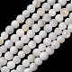 Natural Freshwater Shell Beads Strands(SH-CBA2978-07D-02)-1