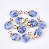 Electroplate Natural Blue Spot Jasper Charms, with Iron Findings, Faceted, Oval, Golden, 14~15x8x5~5.5mm, Hole: 1.8mm(G-S344-09I)