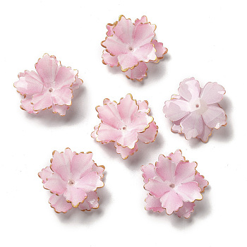 Golden Edge Flower Bead Cap, for DIY Jewelry Making, Pearl Pink, 30~32x10~12mm, Hole: 1~1.1mm