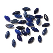 Natural Lapis Lazuli Cabochons, Horse Eye, 8x4x2.5~3mm(G-F772-01B-07)