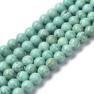 Natural Howlite Beads Strands, Dyed & Heated, Round, 10mm, Hole: 1.4mm, about 40pcs/strand, 15.55 inch(39.5cm)(G-C180-17C)