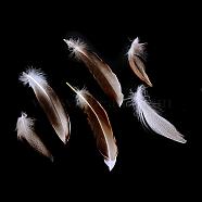 Chicken Feather Costume Accessories, Dyed, Saddle Brown, 30~160x10~30mm(FIND-Q046-04)