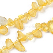 Natural Yellow Agate Nuggets Beads Strands, 7.5~11.5x9~13x4~6.5mm, Hole: 0.8~1mm, about 62~68pcs/strand, 14.96~15.55''(38~39.5cm)(G-B125-A13-01)