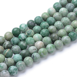 Natural Qinghai Jade Beads Strands, Round, 8~8.5mm, Hole: 1mm, about 47pcs/strand, 15.5 inch(X-G-T055-8mm-16)