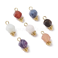 Chakra Theme Natural Tiger Eye & Rose Quartz & Amethyst & Topaz Jade & Red Agate & Amazonite & Sodalite Charms, with Brass & Alloy Findings, Faceted, Round, 12x6mm, Hole: 2mm(PALLOY-JF01187)