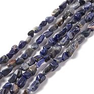 Natural Sodalite Beads Strands, Chip, 5~13x6~8x4~6mm, Hole: 1mm, 15.55''(39.5cm)(G-E115-01)