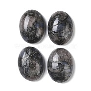 Natural Glaucophane Cabochons, Oval, 20~20.8x15~15.5x5.8~6.5mm(G-B080-01A-28)