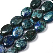 Natural Chrysocolla and Lapis Lazuli Beads Strands, Oval, 10x8x4~5mm, Hole: 1mm, about 41pcs/strand, 16.14 inch~16.33 inch(41~41.5cm)(X-G-N330-031)
