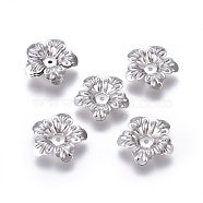 5-Petal 316 Surgical Stainless Steel Bead Caps, Flower, Stainless Steel Color, 20x4mm, Hole: 1.5mm(STAS-G196-04P)