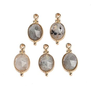 Natural Labradorite Faceted Pendans, Golden Plated Brass Oval Charms, 20.5x9.5x5.5mm, Hole: 1.7mm