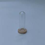 Glass Dome Cover, Decorative Display Case, Cloche Bell Jar Terrarium with Wooden Base, BurlyWood, 40x12mm(BOTT-PW0001-270B-02)