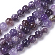 Natural Chevron Amethyst Beads Strands, Round, 10mm, Hole: 1mm, about 40~41pcs/strand, 15.35 inch(39cm)(G-I222-10mm-01)