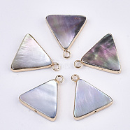 Natural Black Lip Shell Pendants, with Edge Brass Golden Plated and Iron Loops, Half Drilled, Triangle, 18.5x17x3.5mm, Hole: 1~1.8mm(SSHEL-R045-07)