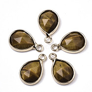 Natural Tiger Eye Charms, with Light Gold Plated Brass Edge and Loop, Teardrop, Faceted, 14x9x4.5mm, Hole: 1.5mm(G-N326-50F)