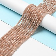 Natural Peach Moonstone Beads Strands, Grade A, Faceted, Cube, 4x4x4mm, Hole: 0.6mm, about 96pcs/strand, 15.24''(38.7cm)(G-D470-09)