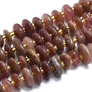 Natural Strawberry Quartz Beads Strands, Chips, 10~12x8~9x3~4mm, Hole: 2mm, about 83pcs/strand, 15.55''(39.5cm)(G-K245-H02-03)