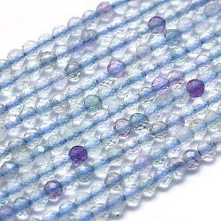 Natural Fluorite Beads Strands, Faceted, Round, 2mm, Hole: 0.5mm, about 192pcs/Strand, 15.16 inch(38.5cm)(G-P438-C09-2mm)