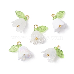 5Pcs Transparent Acrylic Pendants, Lily Flower Charms, Golden, 12.5x13.5x11mm, Hole: 1.8mm(PALLOY-JF04703-01)