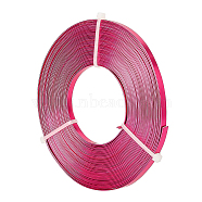 BENECREAT Aluminum Wire, Flat Craft Wire, Bezel Strip Wire for Cabochons Jewelry Making, Camellia, 5x1mm, about 10m/roll(AW-BC0003-34B-09)