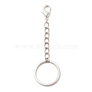304 Stainless Steel Keychain, with Iron Twisted Chains Curb Chains, Zinc Alloy Lobster Claw Clasps, Platinum, 7.9cm(X-KEYC-JKC00333-01)