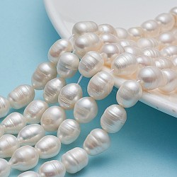 Natural Cultured Freshwater Pearl Beads Strands Rice, Natural Color, White, 10~11mm, Hole: 0.8mm, about 28~29pcs/strand, 13.58 inch(34.5cm)(A23TR011)