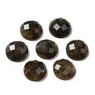 Natural Labradorite Cabochons, Half Round, Faceted, 10x4.5mm(G-L514-010)