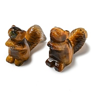Natural Tiger Eye Carved Healing Squirrel Figurines, Reiki Energy Stone Display Decorations, 35.5~36.5x18~19x51mm(DJEW-D012-01B)