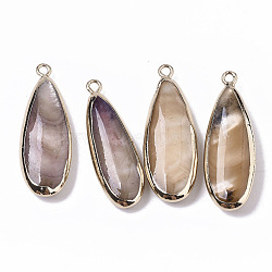 Natural Freshwater Shell Pendants, with Iron Loops, Edge Golden Plated, Dyed, Teardrop, Bisque, 31~33x10.5~12x5mm, Hole: 1.8mm(X-SHEL-R047-03D)