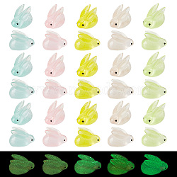 AHADERMAKER 50Pcs 5 Colors Luminous Resin Display Decoration, Glow in the Dark Ornaments, Rabbit, Mixed Color, 16x22x12mm, 10pcs/color(DJEW-GA0001-42)