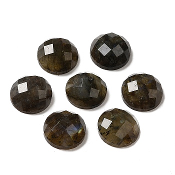 Natural Labradorite Cabochons, Half Round, Faceted, 10x4.5mm