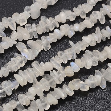 Chips Natural White Moonstone Beads Strands, 3~8x3~12x3~5mm, Hole: 1mm, about 32 inch(X-G-N0164-57)