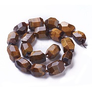 Natural Tiger Eye Beads Strands, Faceted, Polygon, 19~22x12~18mm, Hole: 1.5mm, about 16~17pcs/strand, 15.15 inch~16.14 inch(38.5~41cm)(G-P434-36)