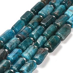 Natural Apatite Beads Strands, with Seed Beads, Faceted Column, 9~11x6~7.5x6~7.5mm, Hole: 1.2mm, about 30pcs/strand, 15.16~15.55 inch(38.5~39.5cm)(G-G068-A11-01)