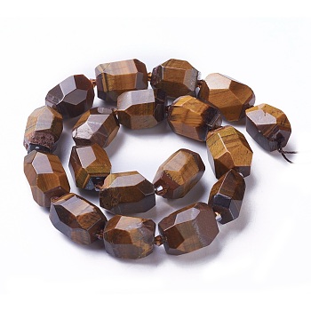 Natural Tiger Eye Beads Strands, Faceted, Polygon, 19~22x12~18mm, Hole: 1.5mm, about 16~17pcs/strand, 15.15 inch~16.14 inch(38.5~41cm)