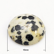 Gemstone Cabochons, Half Round/Dome, Dalmatian Jasper, 16x5mm(G-H1596-FR-16mm-02)