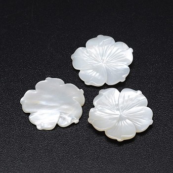 Natural White Shell Mother of Pearl Shell Flower Cabochons, 23~24x2~3mm