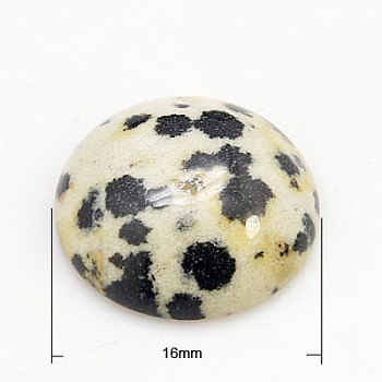 Gemstone Cabochons, Half Round/Dome, Dalmatian Jasper, 16x5mm