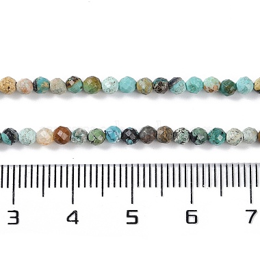 Natural African Turquoise(Jasper) Beads Strands(G-N342-29A)-5