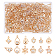 168Pcs 12 Style Rack Plating Eco-Friendly Iron Pendants(IFIN-FH0001-55)-1