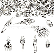 4 Style Tibetan Style Alloy Pendants, Skeleton & Raven Skull & Skull, Antique Silver, 18.6~41.5x9.5~21x2.5~11mm, 60pcs/box(FIND-FG0001-92)