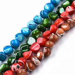 Natural Trochid Shell/Trochus Shell Beads Strands, Mixed Dyed and Undyed, Nuggets, Mixed Color, 7~12x5~10x4~8mm, Hole: 1mm, about 60~64pcs/strand, 15.16 inch~15.75 inch(38.5~40cm)(SSHEL-N032-48)
