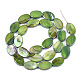 Freshwater Shell Beads Strands(X-SSHEL-T007-19C)-2
