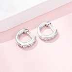 925 Sterling Silver Micro Pave Clear Cubic Zirconia Hoop Earrings, Platinum, 9x2mm(EJEW-K317-08P)