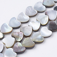 Natural Black Lip Shell Beads Strands, Heart, 9x10x3~4mm, Hole: 0.8mm, about 44pcs/strand, 15.16 inch(SSHEL-Q298-11)