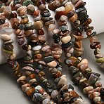 Natural Alashan Agate Beads Strands, Chip, 5~14.5x4~8x3.5~6mm, Hole: 0.7~0.8mm, 31.89~32.05''(81~81.4cm)(GG-CBAE051-A04-01)