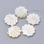 Natural Freshwater Shell Beads, Scallop Shape, Creamy White, 27~29x28~30x2.5~3mm, Hole: 1mm(SHEL-T007-05)